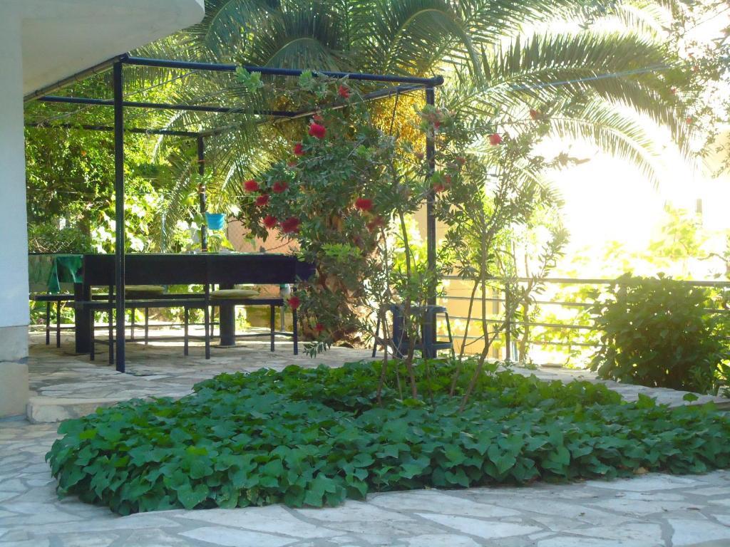 Apartments Villa Petranovic Budva Ngoại thất bức ảnh