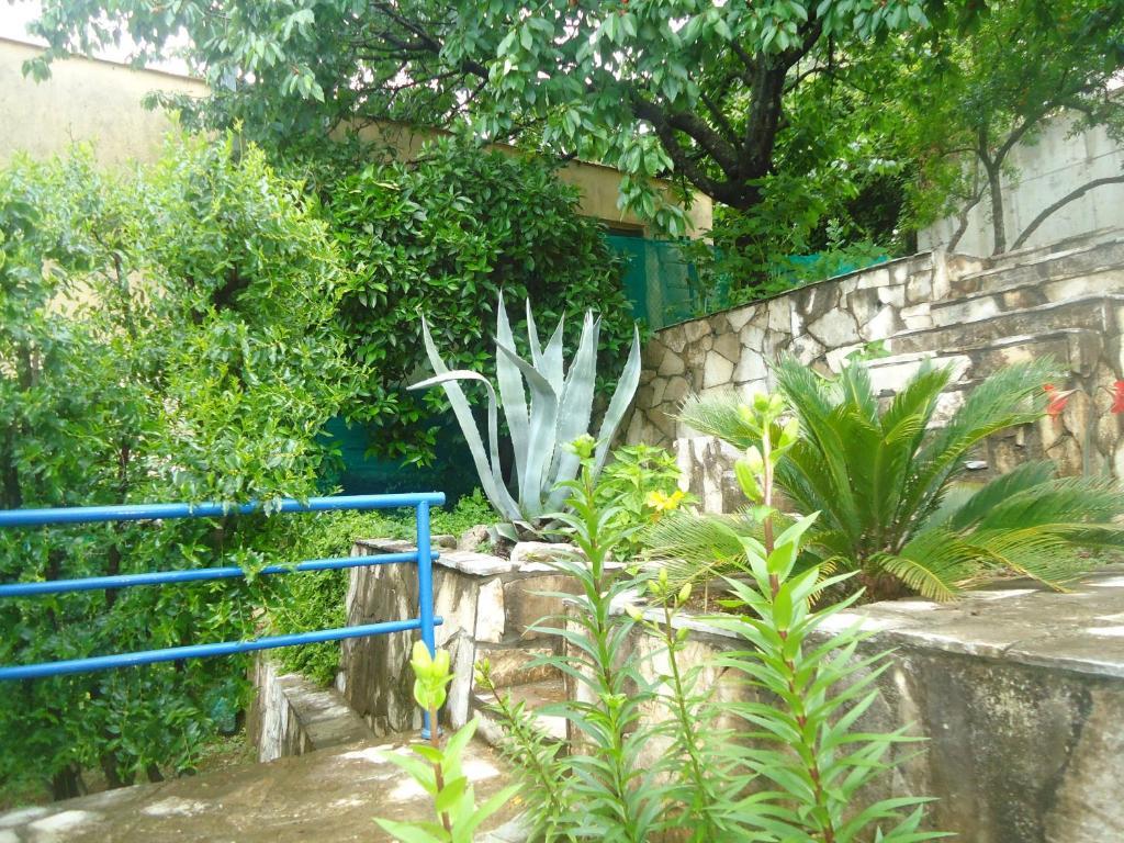 Apartments Villa Petranovic Budva Phòng bức ảnh