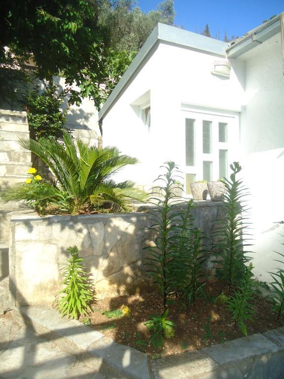 Apartments Villa Petranovic Budva Phòng bức ảnh