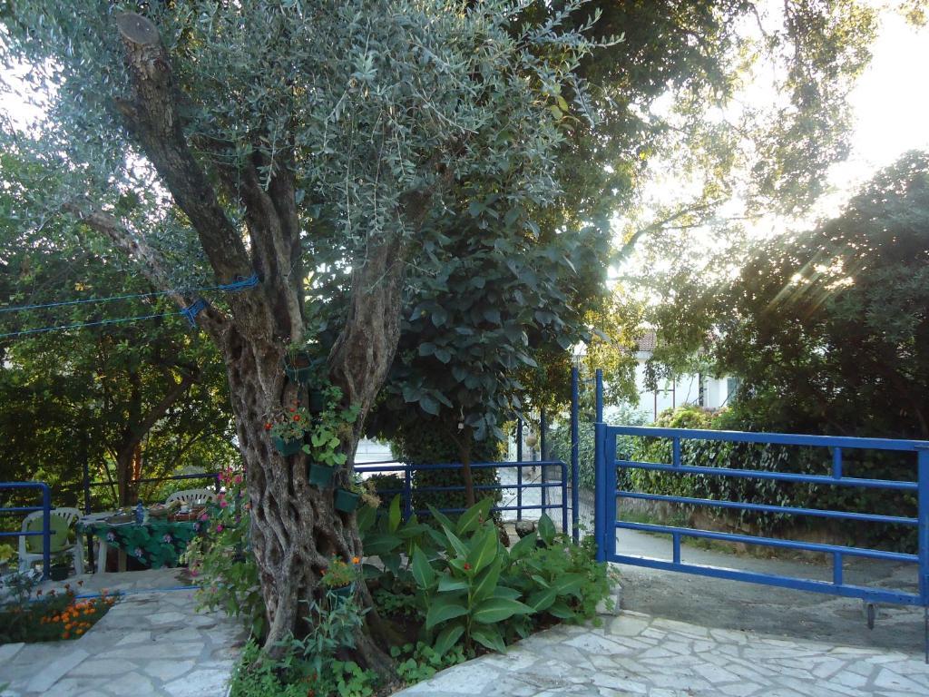 Apartments Villa Petranovic Budva Ngoại thất bức ảnh