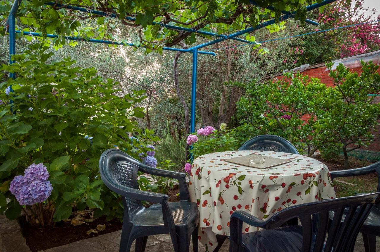 Apartments Villa Petranovic Budva Ngoại thất bức ảnh